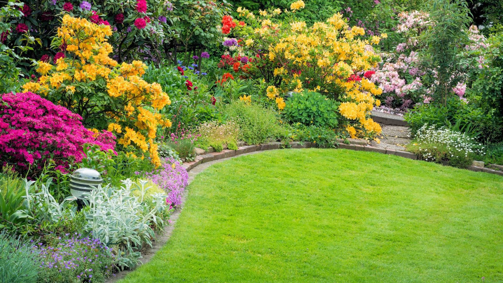Tauranga Lawn Mowing