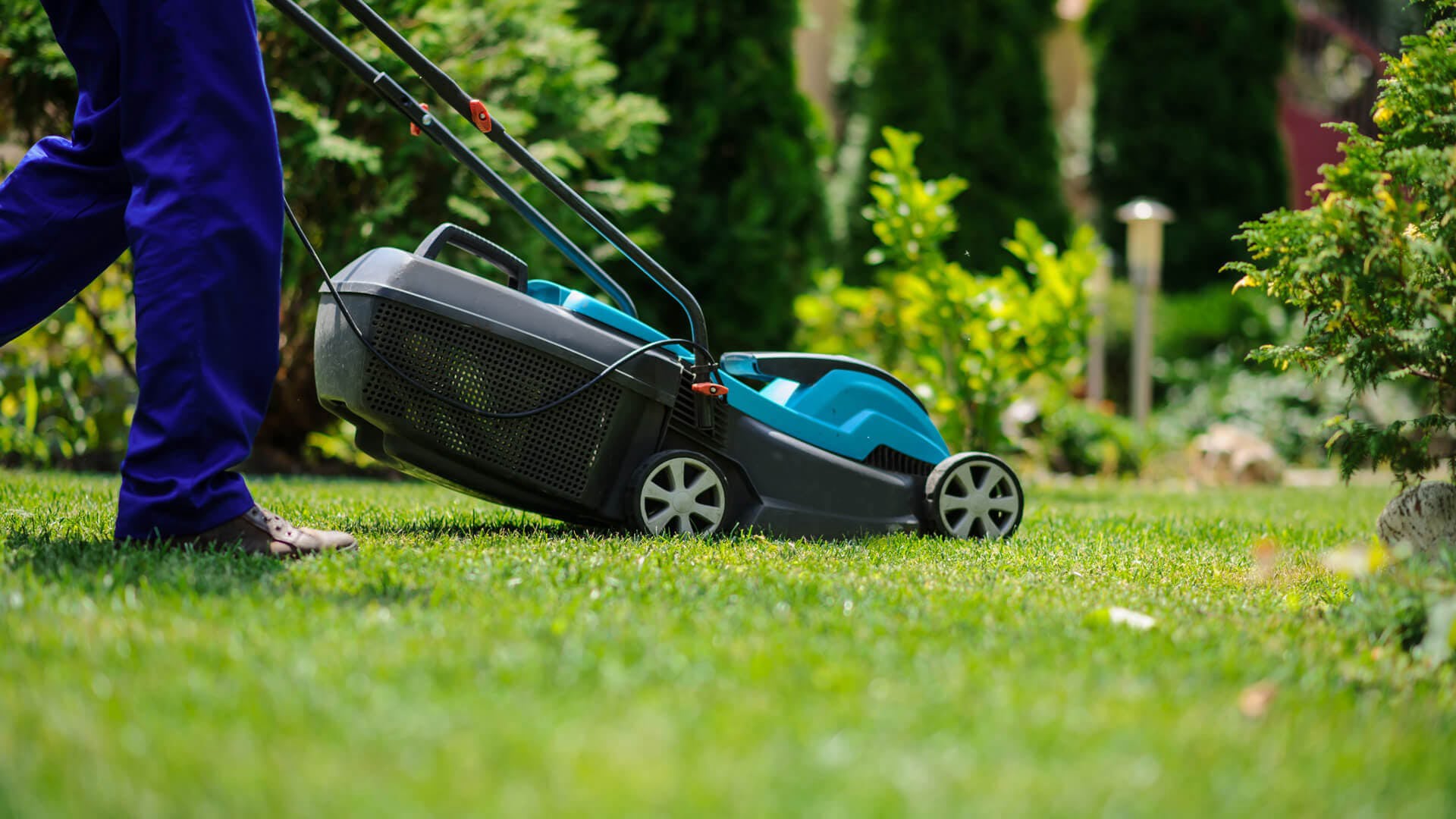 Tauranga Lawn Mowing